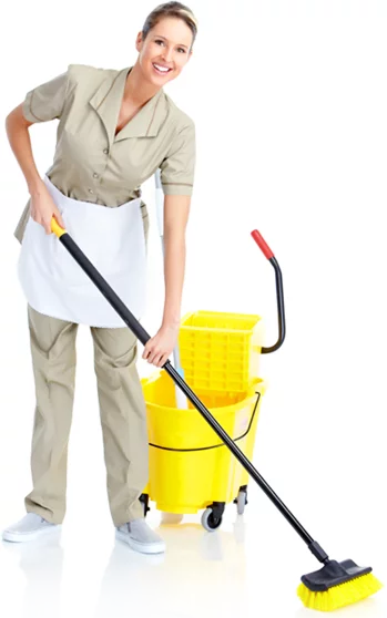 Cleaner